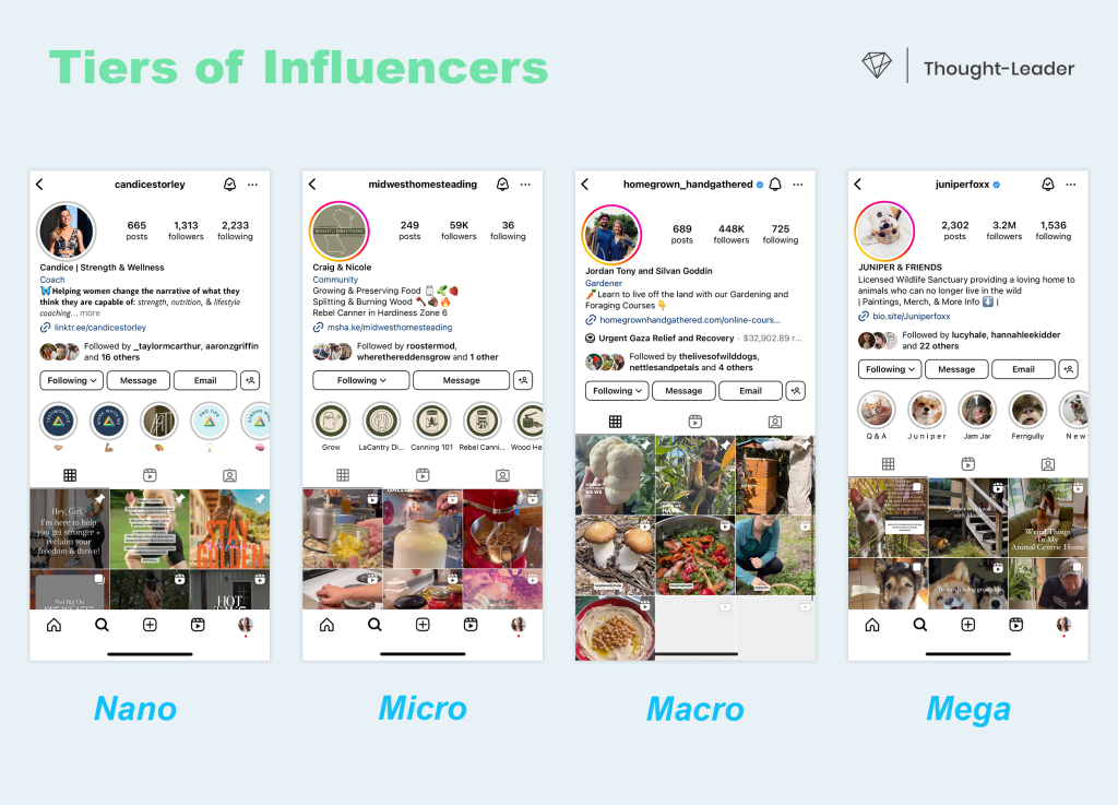 image with 4 tiers of influencers: nano, micro, macro, mega
